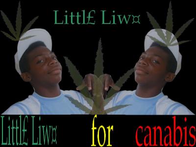 XXXXXXX LITTLE LIX� XXXXXXX